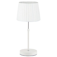 Raidan Adjustable Table Lamp
